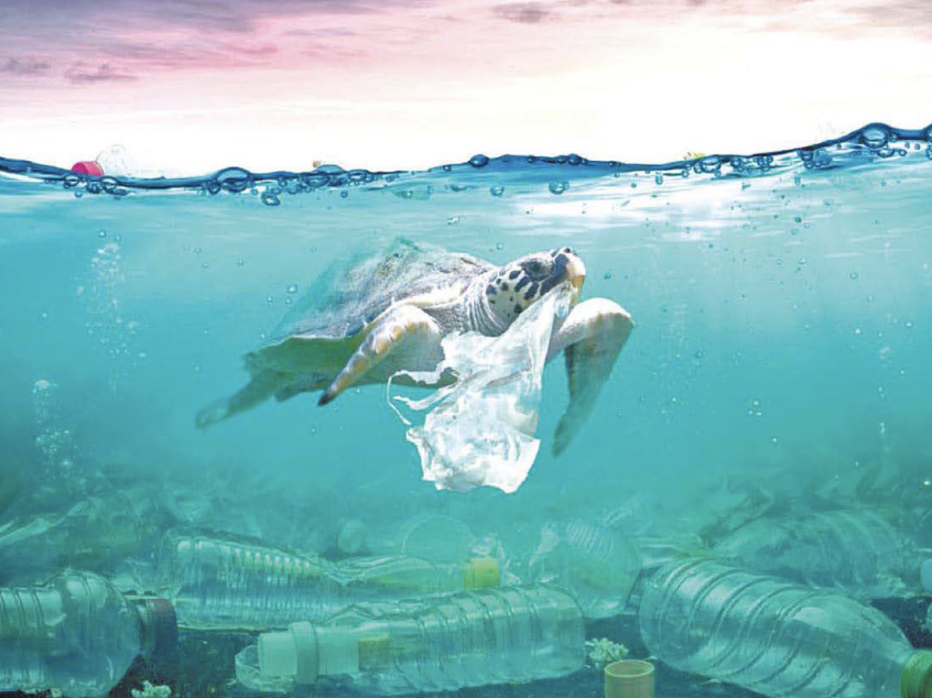 Captura De Pantalla 2024 05 23 A La(S) 11.23.24