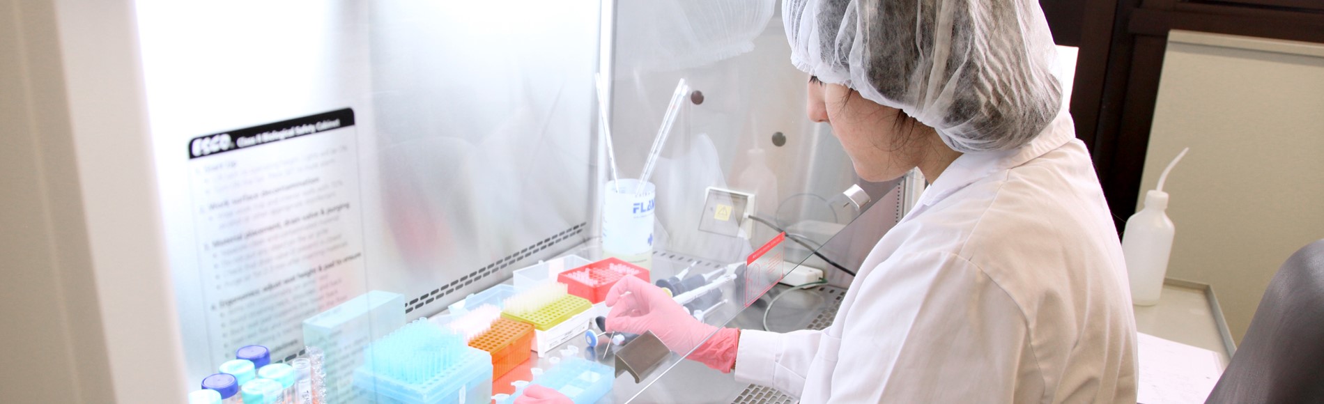 Licenciatura en Biotecnología UADE