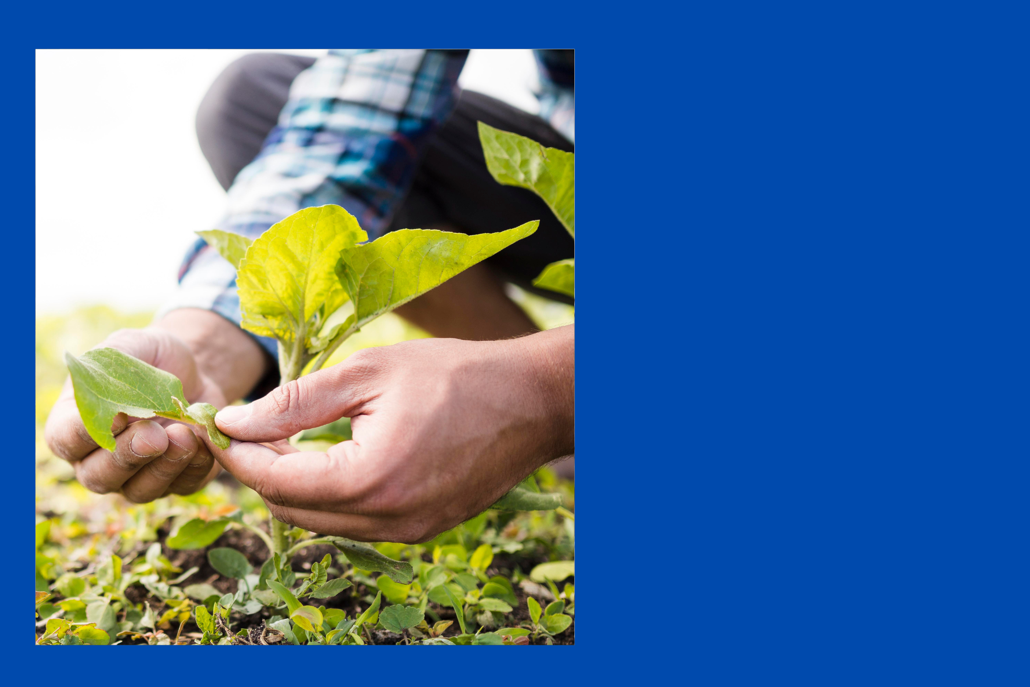 Diseño Sin Título (41)