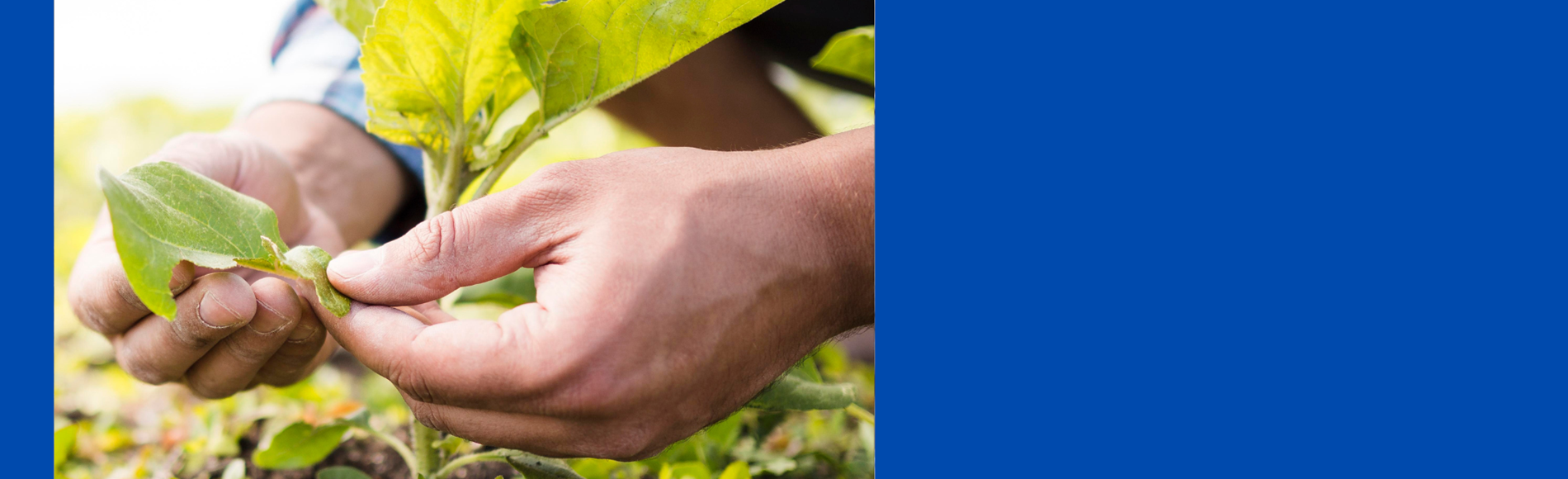 Diseño Sin Título (41)