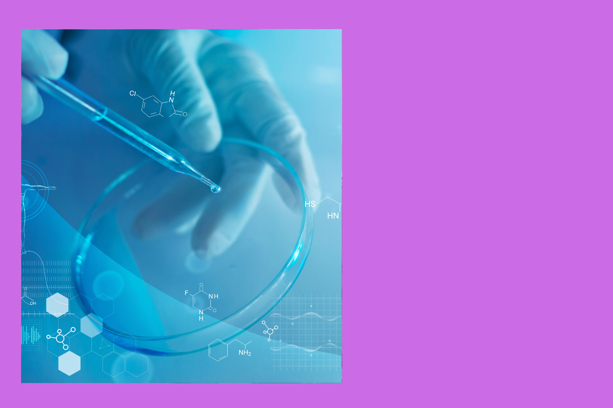 Diseño Sin Título (39)