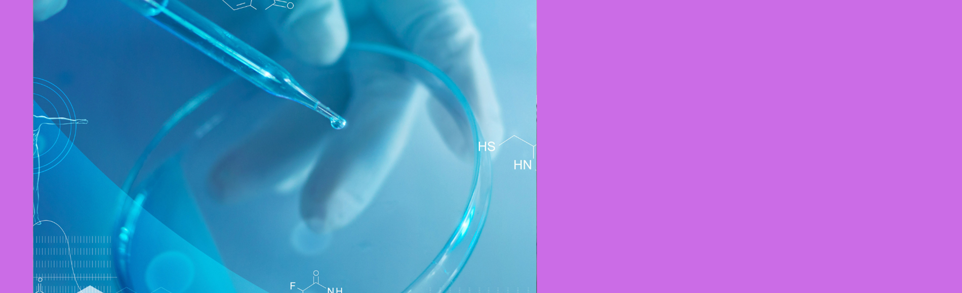 Diseño Sin Título (39)