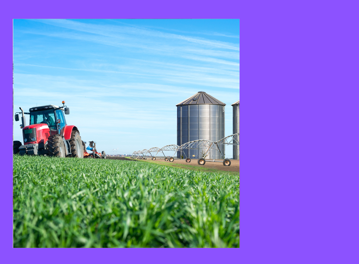 Diseño Sin Título (55)