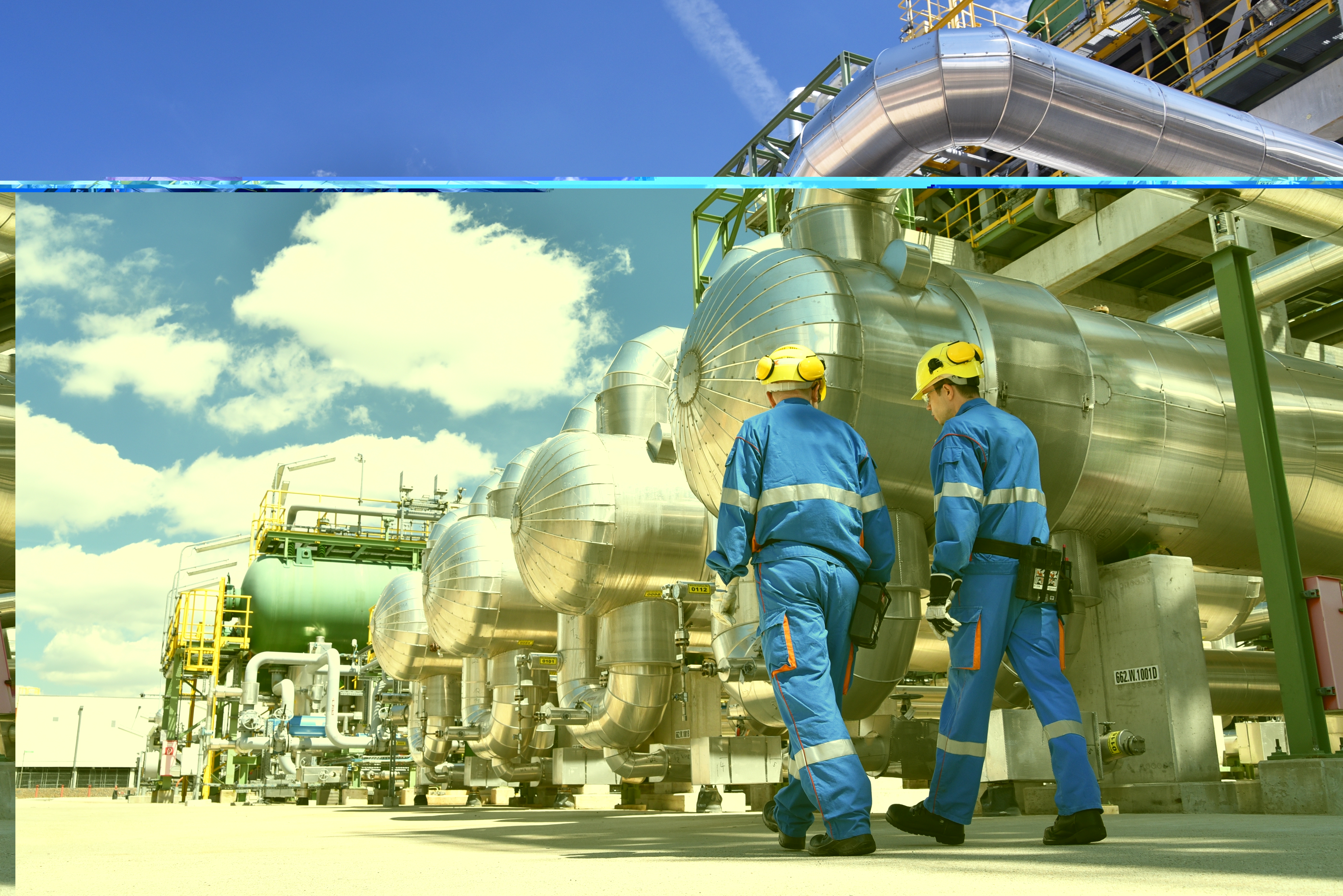 Shutterstock 2275186373