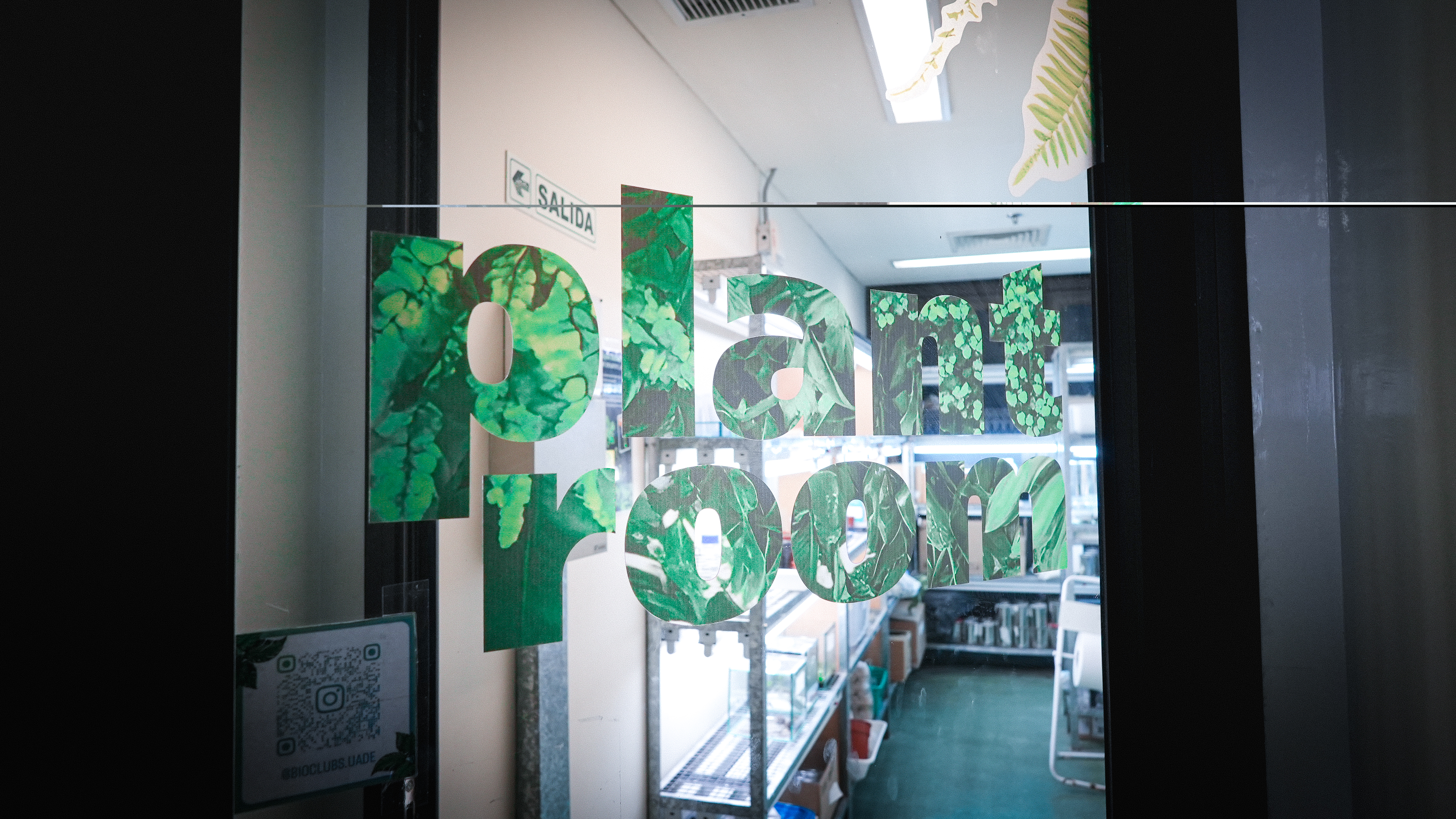 Plant Room 5