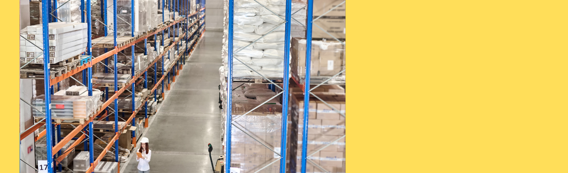 Diseño Sin Título (66)