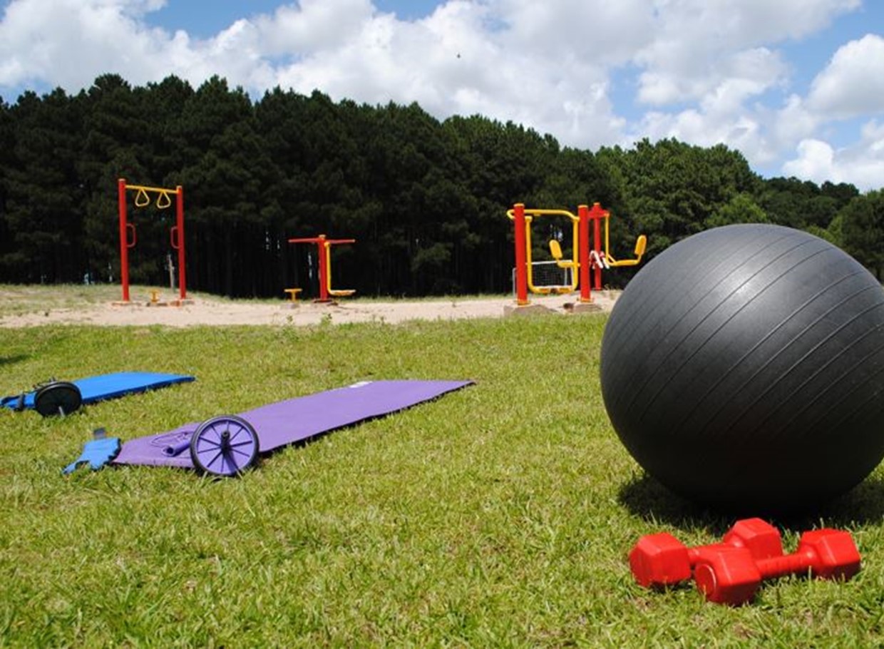 Area Recreativa 6