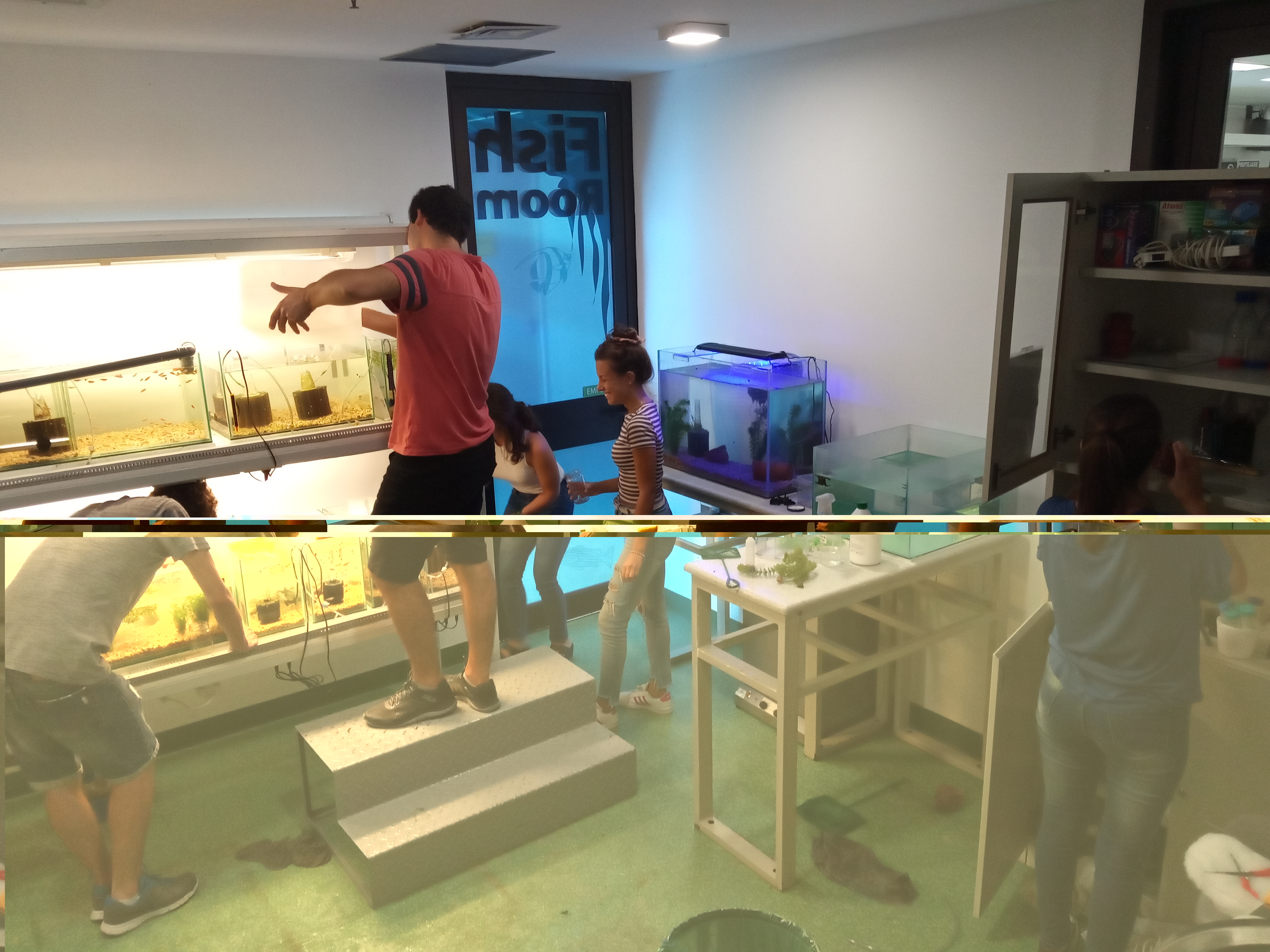 Foto Biolab