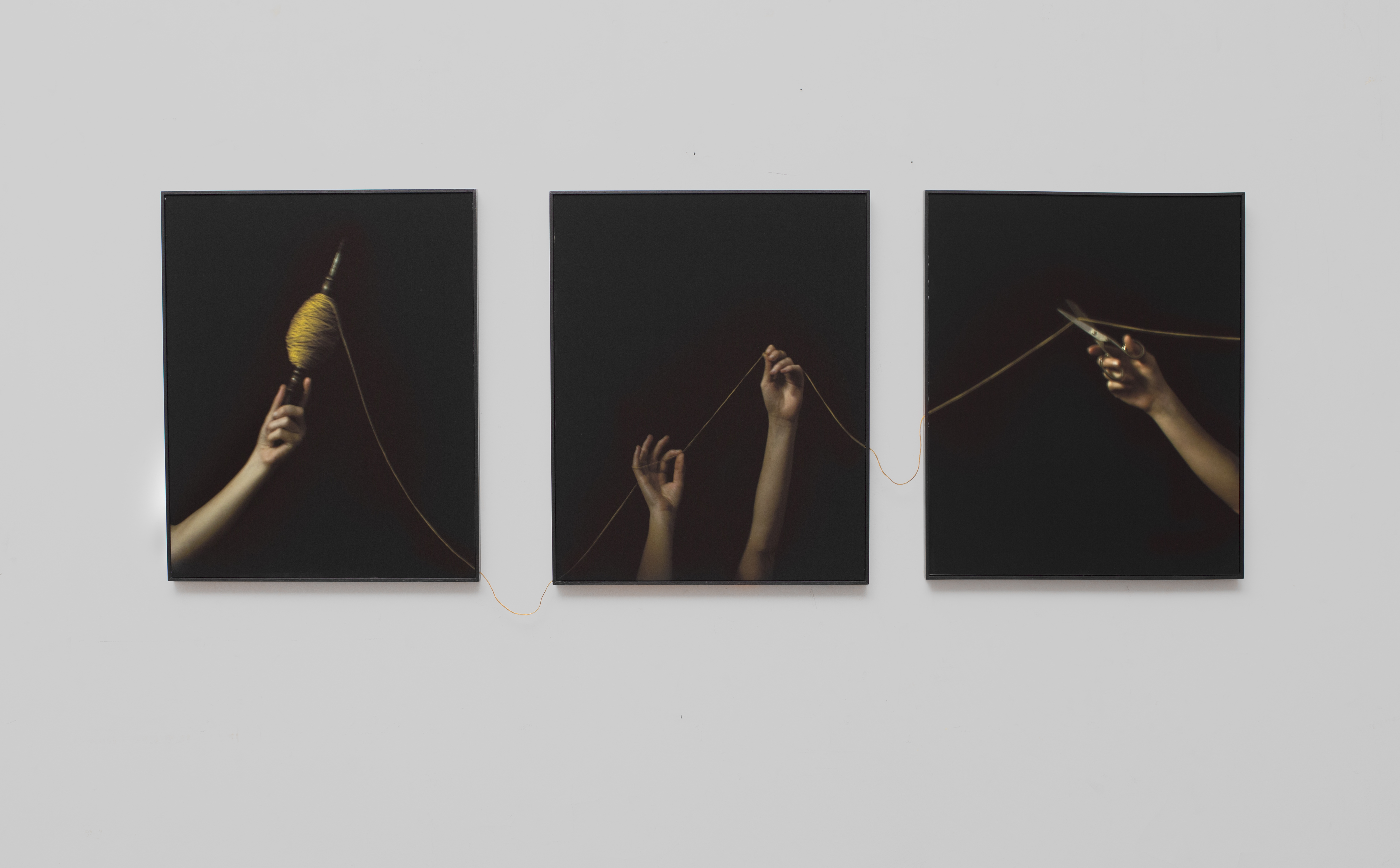 Img Cabecera Ganadora