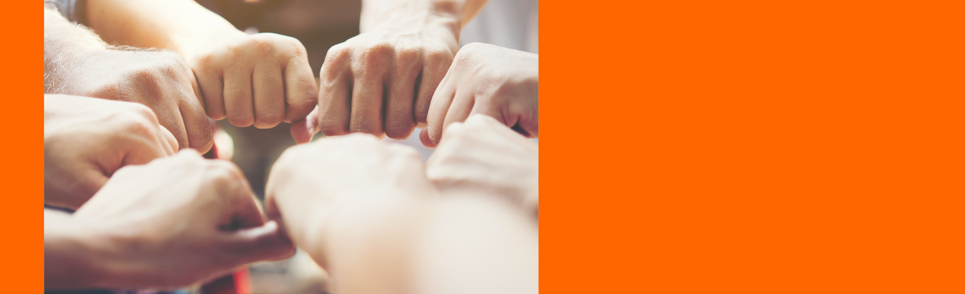 Diseño Sin Título (7)