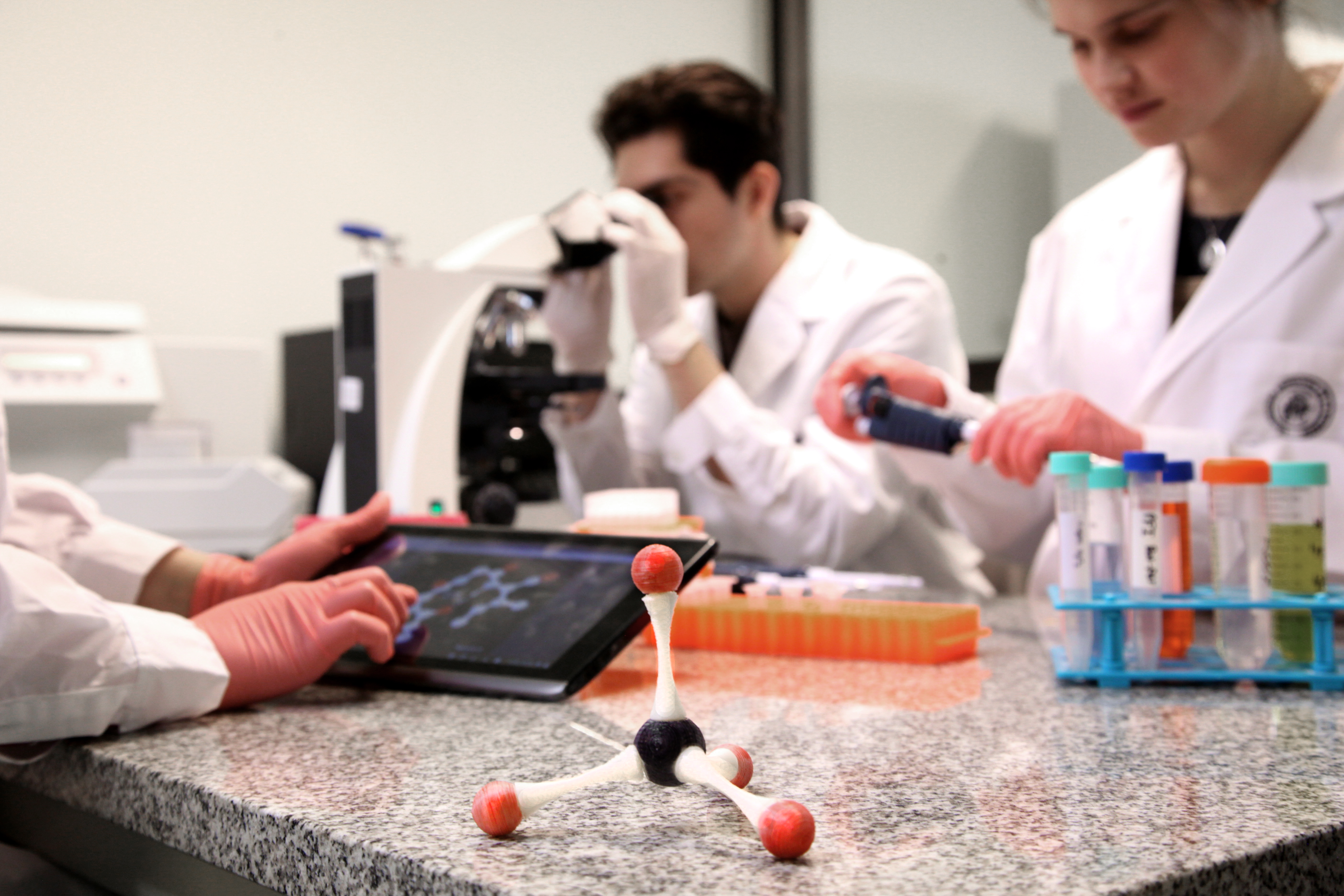 Bioinformática UADE