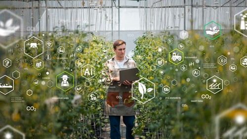 Curso Introductorio de Seguridad Informática