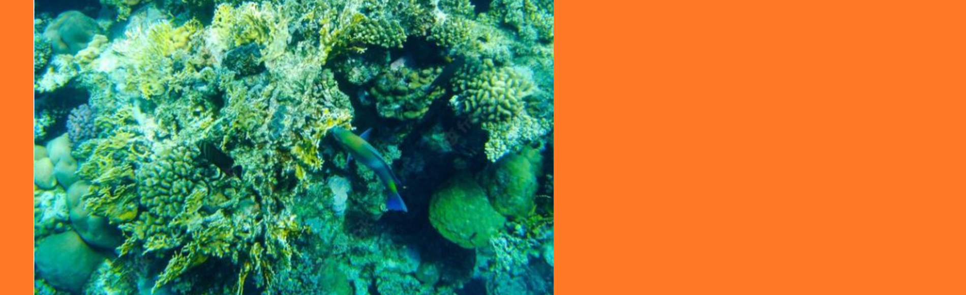 Diseño Sin Título (42)