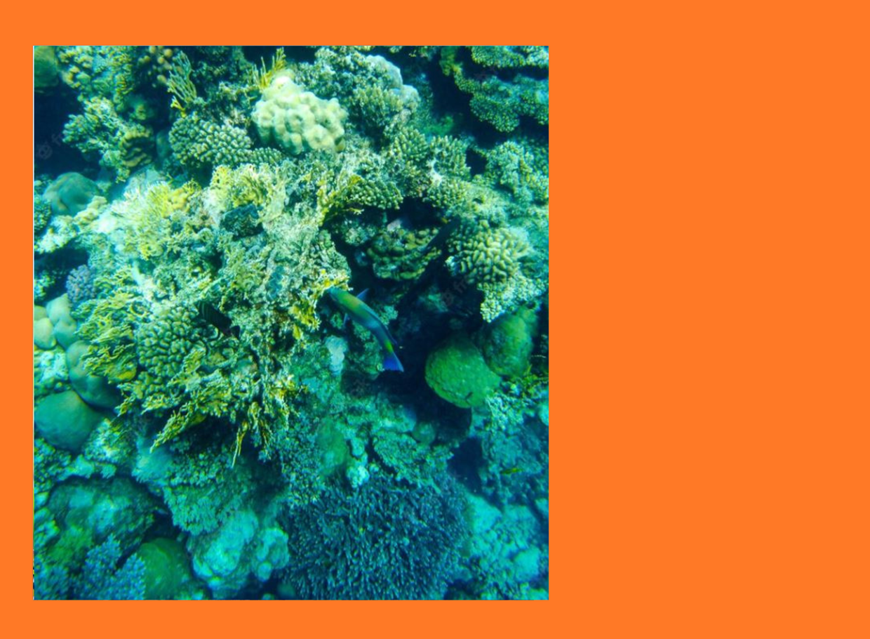 Diseño Sin Título (42)